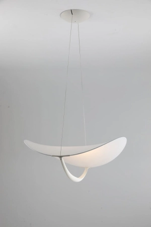 Подвесной светильник Zortes Quincy ZRS.1585.14, Мощность - 25Вт, Тип лампы: LED, В -1900мм/500мм / Ш - ø700мм