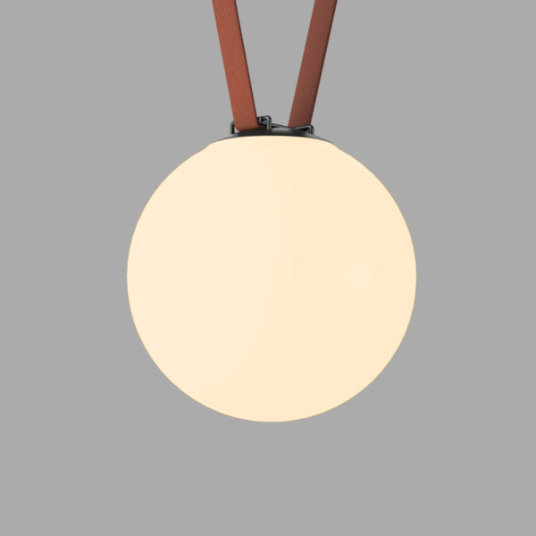 Светильник на шине Denkirs DK5555-BK