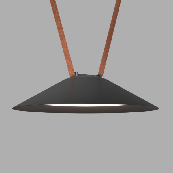 Светильник на шине Denkirs DK5564-BK