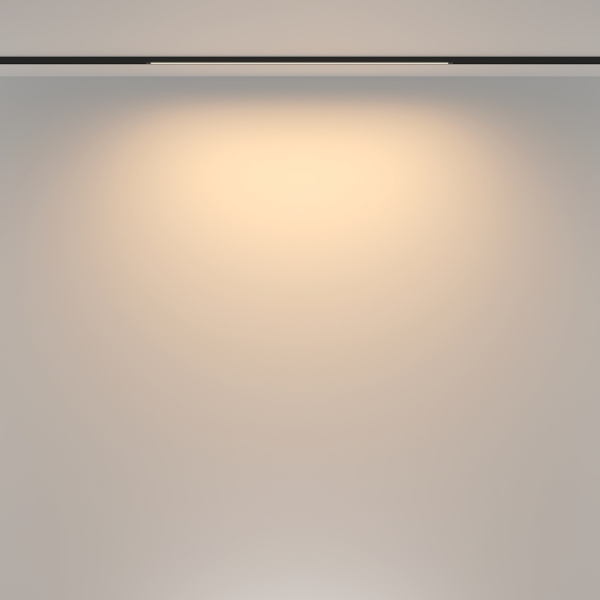 Трековый светильник Technical TR173-1-16WTW-B