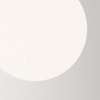 Уличный подвесной светильник Outdoor O594PL-01W