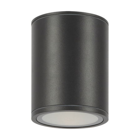 Уличный потолочный светильник Outdoor O306CL-L12GF
