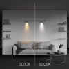 Светильник Technical C103CL-5W3-6K-B