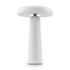 Аккумуляторный светильник Freya FR6109TL-L4W