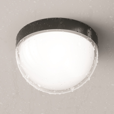 Уличный потолочный светильник Outdoor O438CL-L12GF3K