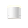 Потолочный светильник Technical C120CL-GX53-W