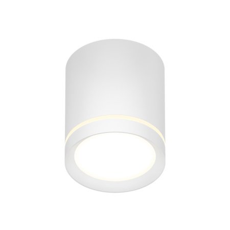 Накладной светильник Denkirs DK4016-WH