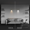 Светильник Technical C102CL-3W3-6K-BS