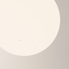 Уличный подвесной светильник Outdoor O594PL-01W