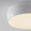 Уличный потолочный светильник Outdoor O431CL-L30W3K