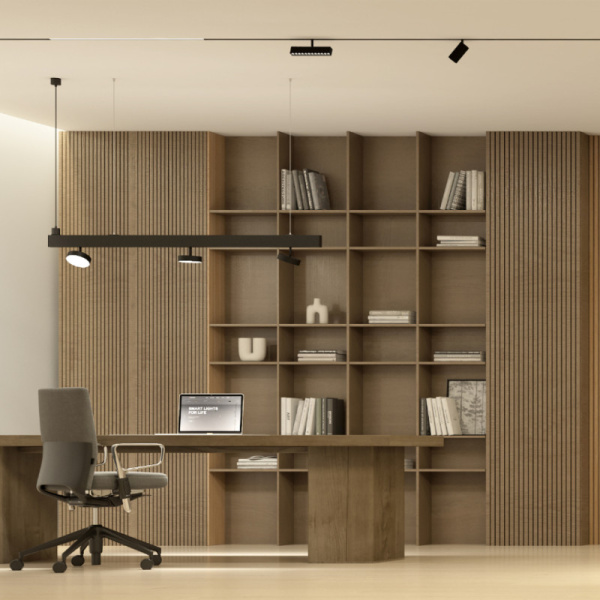 Светильник на шине Denkirs DK8026-BK