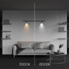 Светильник Technical C102CL-3W3-6K-B