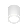 Накладной светильник Denkirs DK4013-WH
