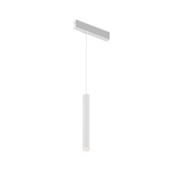 Светильник на шине Denkirs DK8008-WH