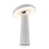 Аккумуляторный светильник Freya FR6109TL-L4W