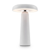 Аккумуляторный светильник Freya FR6109TL-L4W
