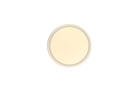 Светильник потолочный влагозащищенный белый LED 24Вт D30см