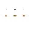 Подвесной светильник Denkirs DK4063-BK+SG