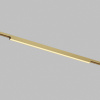 Светильник на шине Denkirs DK5952-SB