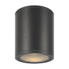 Уличный потолочный светильник Outdoor O306CL-L12GF