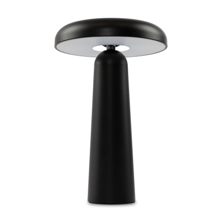 Аккумуляторный светильник Freya FR6109TL-L4B