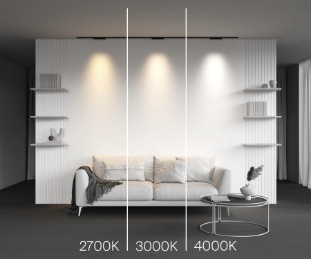 Трековый светильник Technical TR193-1-10W3K-M-B
