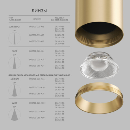 Накладной светильник Denkirs DK2610-SB