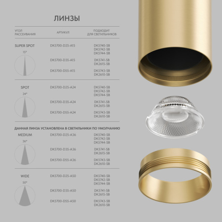 Накладной светильник Denkirs DK2615-SB