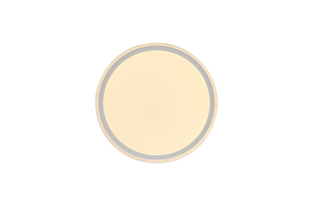 Светильник потолочный влагозащищенный белый LED 36Вт D37см