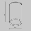 Уличный потолочный светильник Outdoor O307CL-01B