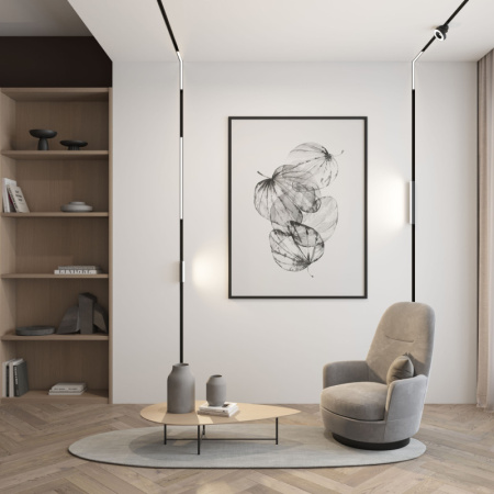 Светильник на шине Denkirs DK8009-BK
